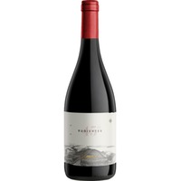 45 Rugientes Pinot Noir Bio, Patagonien, Patagonien, 2020, Rotwein