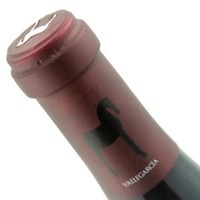 Vallegarcía Syrah