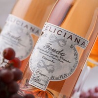 Chiaretto Garda Classico Feudo