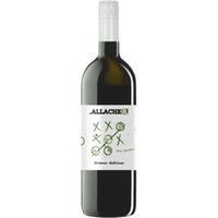 Allacher Gruner Veltliner Burgenland - - Burgenland, Österreich