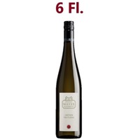 Grüner Veltliner - 6er Paket - Mayer am Pfarrplatz