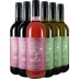 Sortenvielfalt Paket BIO - Weinbau Birsak 