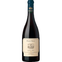 Pinot Nero della Sala, Umbria IGT, Umbrien, 2022, Rotwein