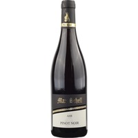 Pinot Noir unfiltriert trocken - Weingut Max Schell