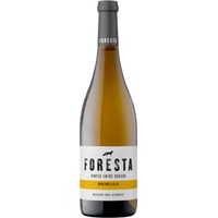 Foresta Bosc del Calau DO Penedès trocken Bio - Vins de Foresta