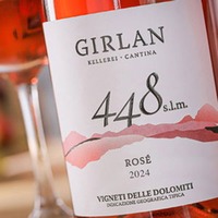 Rosé 448 s.l.m