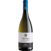 Villa Margon Chardonnay DOC - Lunelli
