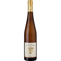 Kastanienbusch Riesling GG, Trocken, Pfalz, Pfalz, 2021, Weißwein