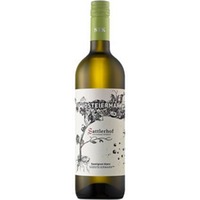 Sauvignon Blanc Südsteiermark DAC