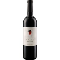 Enate Cabernet-Cabernet DO