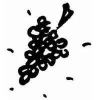 Chardonnay halbtrocken - Weingut H. P. Schmidt