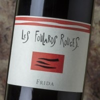 Les Foulards Rouge Frida