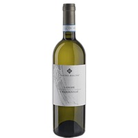 Mauro Molino : Langhe Chardonnay