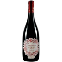 Morso Rosso Susumaniello Puglia IGP trocken Bio - Tenuta Viglione