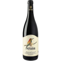 Bienenfresser Zweigelt Reserve - Weingut Pitnauer (6 Flaschen)