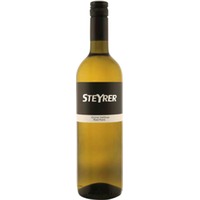 Grüner Veltliner Traisental Ried Point DAC - Weingut Steyrer