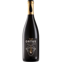 "ORTUS" Roter Veltliner Ried Steinbruch - Weingut Humer