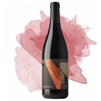 Nostro Raboso DOC Piave (Casa Baccichetto)