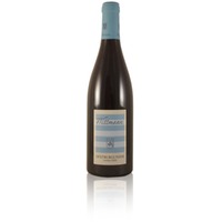 Wittmann Spätburgunder Rotwein VDP Gutswein Rheinhessen