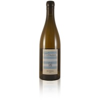 Wittmann Silvaner MINERAL 2023 Rheinhessen
