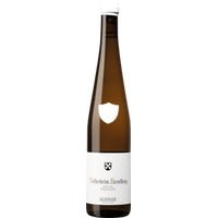 Deidesheim Kieselberg „wurzelecht“ Riesling trocken