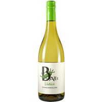 Donauriesling Weitblick BIO - Weingut Baier