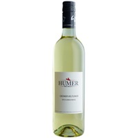 Grüner Veltliner "Ried Lenischberg" - Weingut Humer