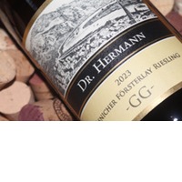 Lösnicher Försterlay Riesling GG | trocken