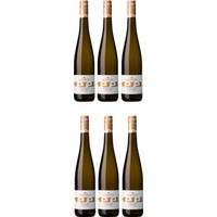 6x „Anno 1811“, Westhofen Riesling