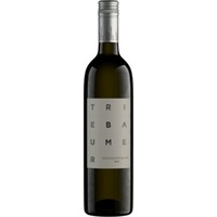 Sauvignon Blanc - Triebaumer
