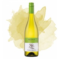 Falerio (Terra Fageto)