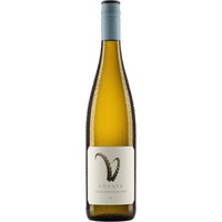 Steinbock Sauvignon Blanc - Weingut Hörner