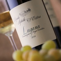 Lugana Santa Cristina