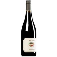 Pinot Nero Veneto IGT