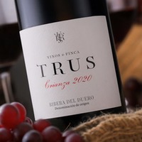 Tempranillo Crianza Trus