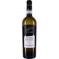 Mabis UVAM Pinot Grigio