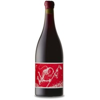 El Cosmonauta y el Viaje en el Tiempo