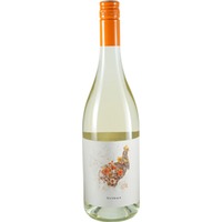 Weißer Tribus BIO - Weingut Baier