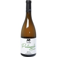 Pallagrello Bianco Verginiano - Il Verro