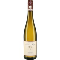 Riesling VDP.Gutswein trocken Bio - Weingut Acham-Magin