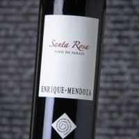 Enrique Mendoza Santa Rosa