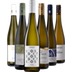 Probierpaket "Riesling rocks!" 