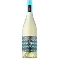 Skoff Walter Walter White