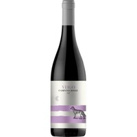 Virgo Campania Rosso IGP - Villa Raiano