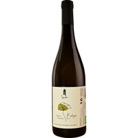 Pecorino Falerio DOC Bio - Podere Mattei