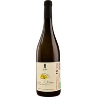 Verdicchio dei Castelli di Jesi DOC Bio - Podere Mattei