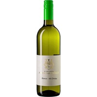 Bianca - die Dritte / PIWI / Zukunftswein