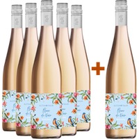 5+1 Paket Blütentraum Blanc de Noir - Weingärtner Stromberg-Zabergäu