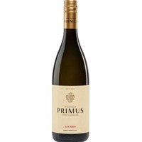 Gelber Muskateller Alte Reben - Primus