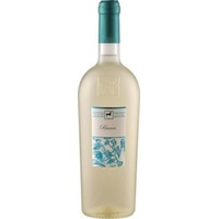 Tenuta Ulisse Bianco Premium | aromatischer Weißwein aus den Abruzzen